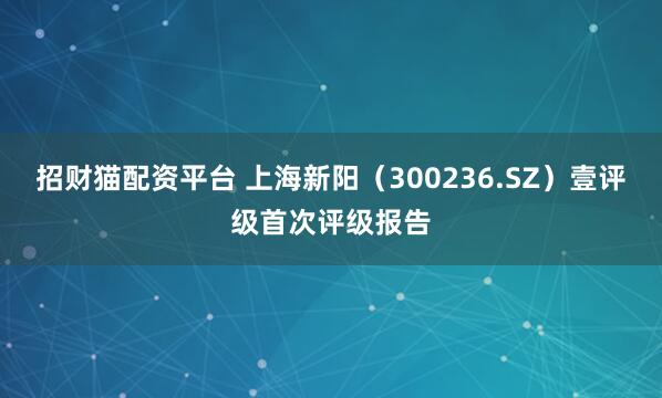 招财猫配资平台 上海新阳（300236.SZ）壹评级首次评级报告