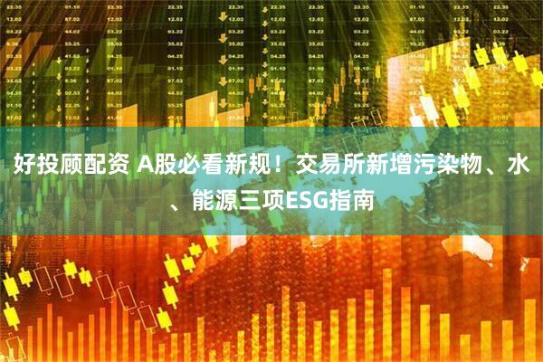 好投顾配资 A股必看新规！交易所新增污染物、水、能源三项ESG指南