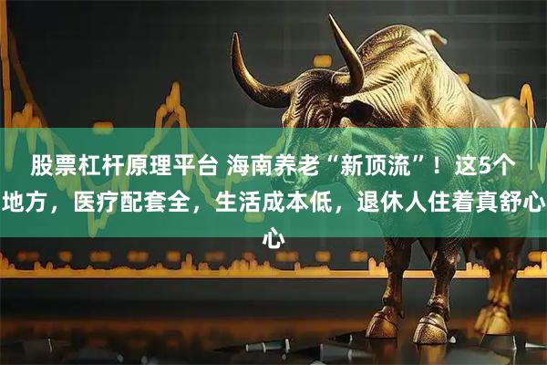 股票杠杆原理平台 海南养老“新顶流”！这5个地方，医疗配套全，生活成本低，退休人住着真舒心