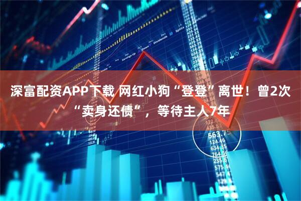 深富配资APP下载 网红小狗“登登”离世！曾2次“卖身还债”，等待主人7年